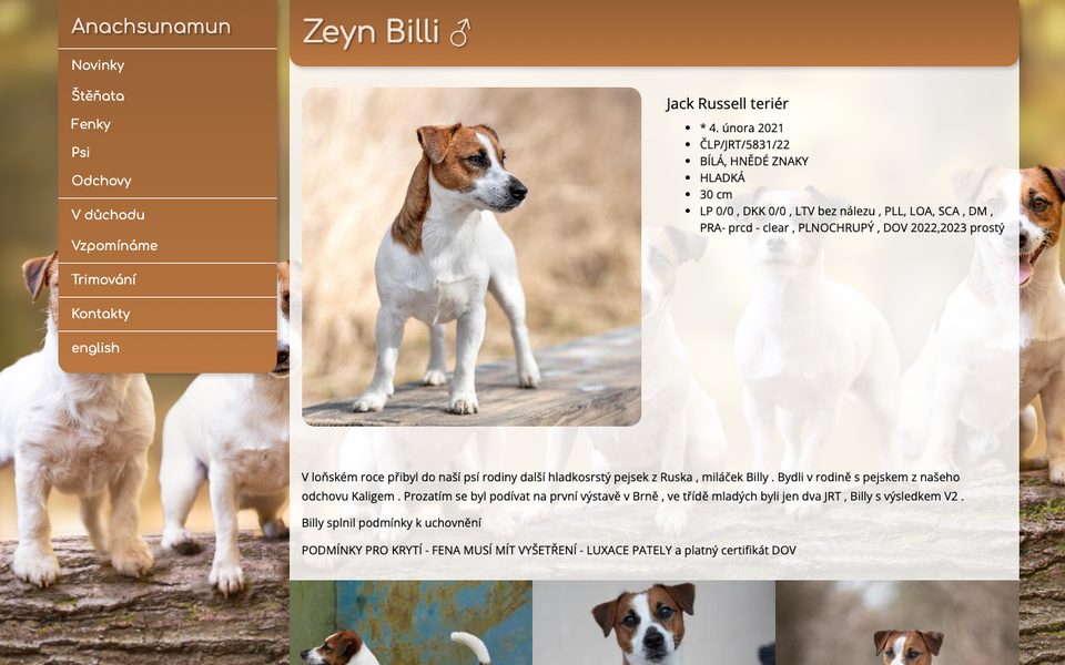 Zeyn Billi, chovatelská stanice Anachsunamun