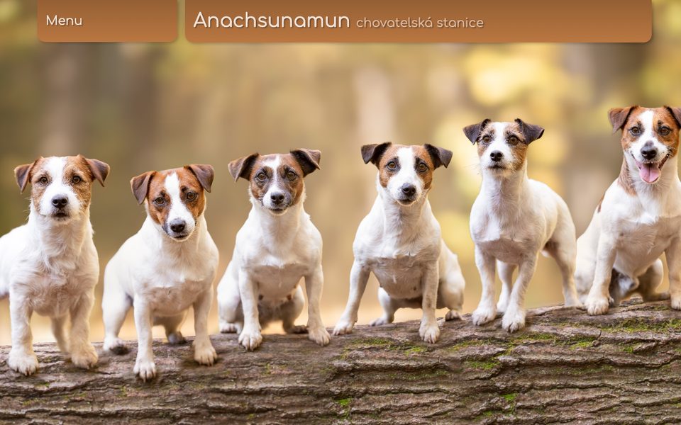 www.anachsunamun.cz