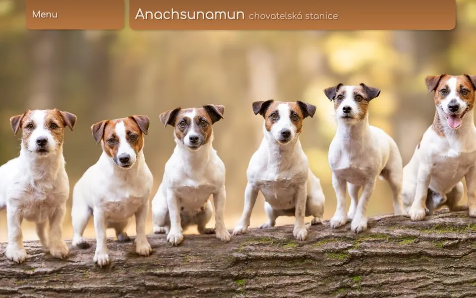 www.anachsunamun.cz