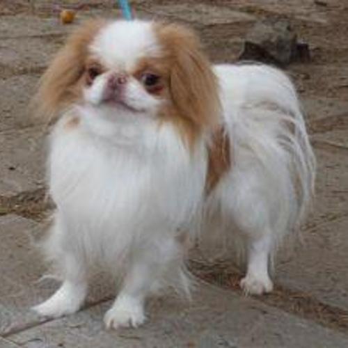 Franki Ered Luin