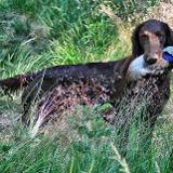 Olympic Fire Bonny Dux
