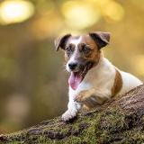 Kampala  Anachsunamun