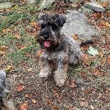 Agnes od Brodu Oldřicha a Boženy