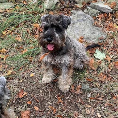 Agnes od Brodu Oldřicha a Boženy