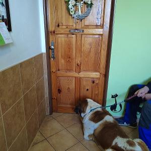 Na veterině se mi líbí 