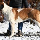 Adélka od Standovy studánky