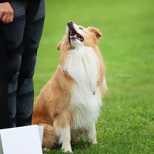 pic