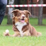 Caramel Cherrie from Edge of Paradise  "CHERRIE"