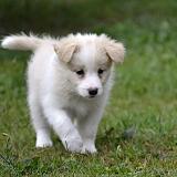 Harmony Hailey Wicca Gabreta