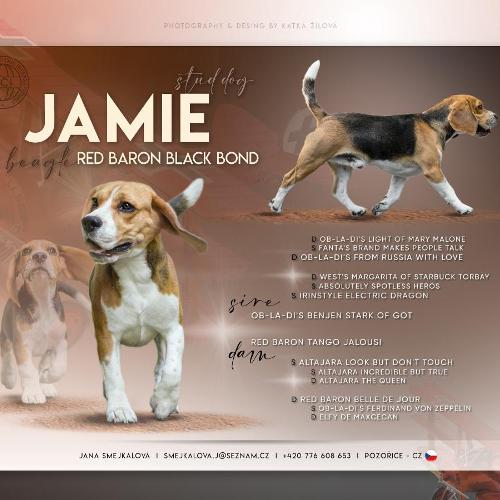 Red Baron Black Bond