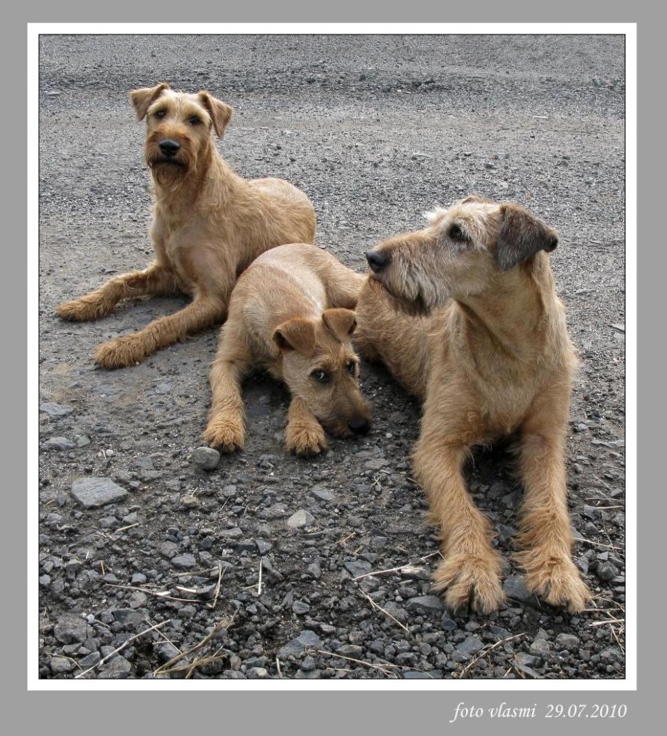 Bela, Dita, Bonita