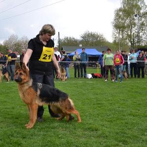Freia z Likonu,VD2,RTG0/0,0/0,DNA-gpr