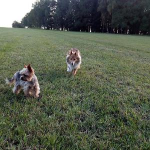 Ofa(Žofi) +  a Nany