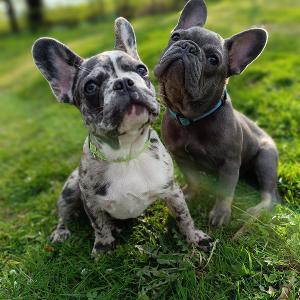 Fiona& Shrek 