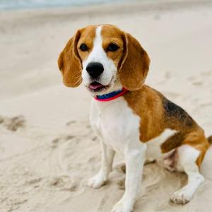 Astrid (Bissy Sparkling Asara